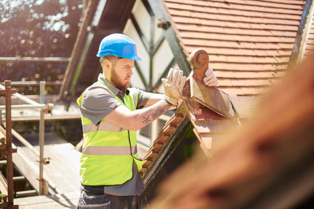 Best Roof Gutter Cleaning  in Glens Falls North, NY